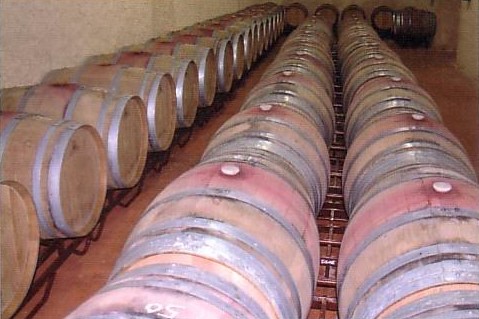 Pasillo de barricas en una bodega manchega